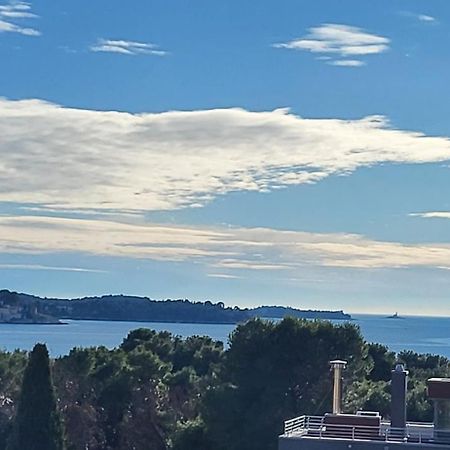 Villa Salvia Rooms And Apartments Rovinj Zewnętrze zdjęcie
