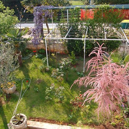 Villa Salvia Rooms And Apartments Rovinj Zewnętrze zdjęcie