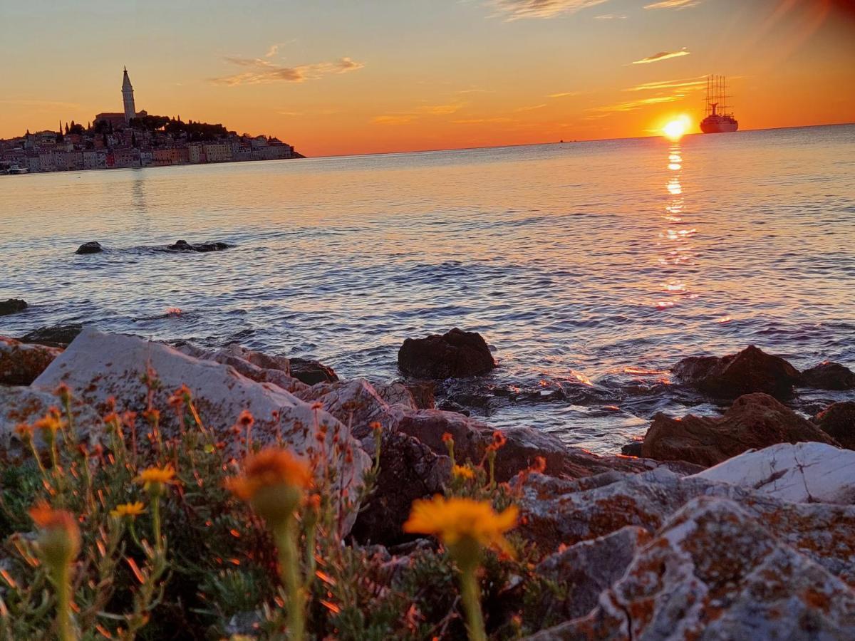 Villa Salvia Rooms And Apartments Rovinj Zewnętrze zdjęcie