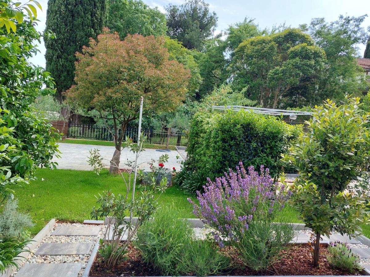 Villa Salvia Rooms And Apartments Rovinj Zewnętrze zdjęcie