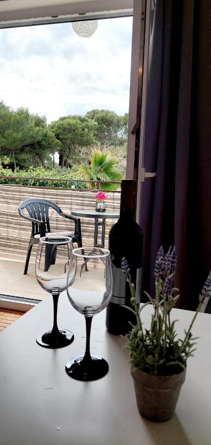 Villa Salvia Rooms And Apartments Rovinj Zewnętrze zdjęcie