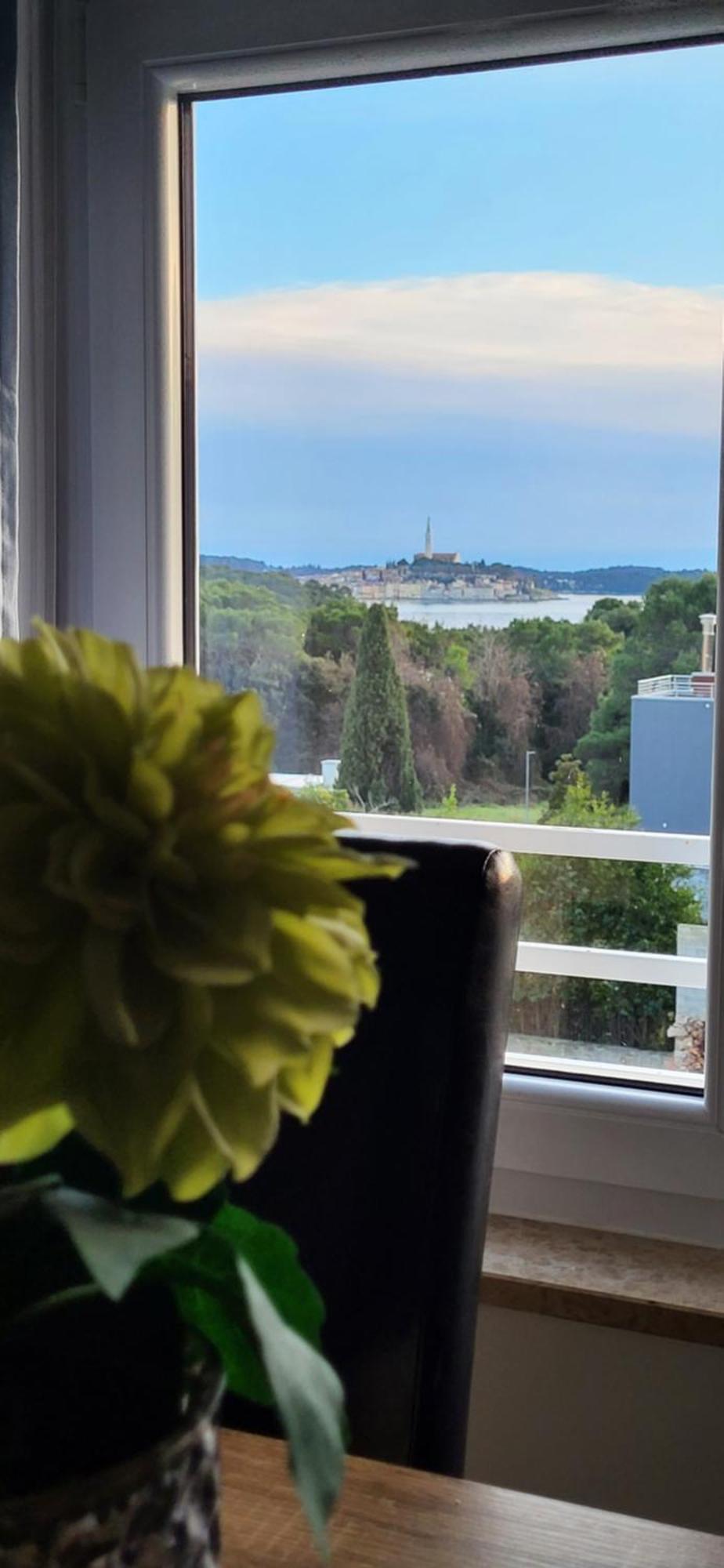 Villa Salvia Rooms And Apartments Rovinj Zewnętrze zdjęcie
