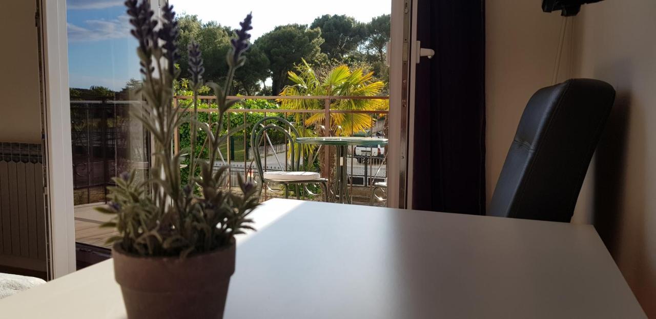 Villa Salvia Rooms And Apartments Rovinj Zewnętrze zdjęcie